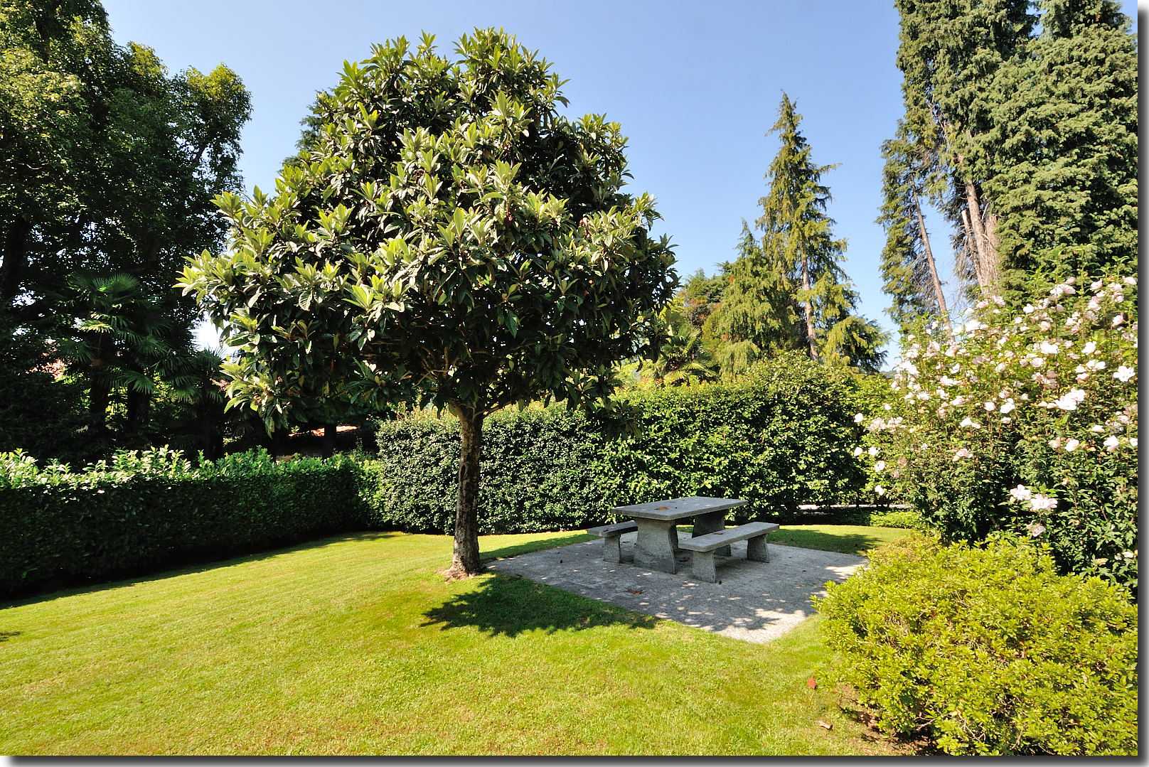 Residenza Al Parco - via al Lido 26e - Ascona [ Garten ]