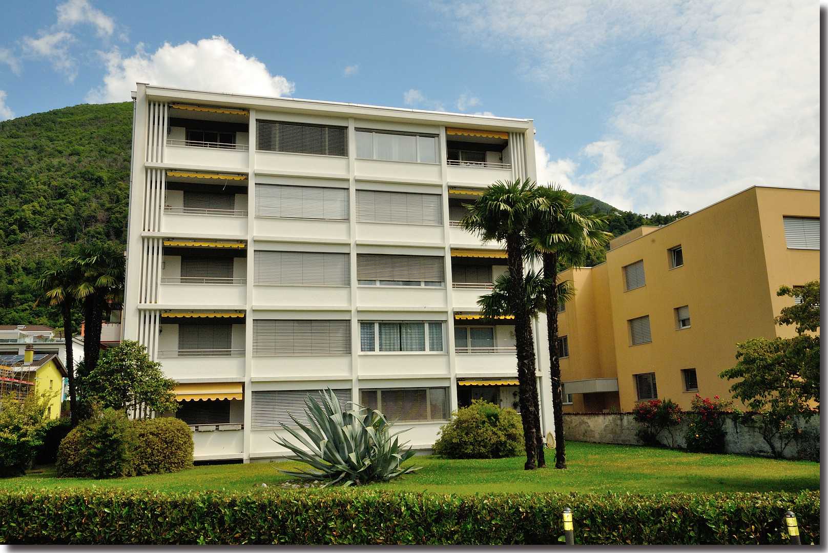 Residenza Forsizia - via San Martino 2 - Solduno Locarno [ Aussenansicht ]